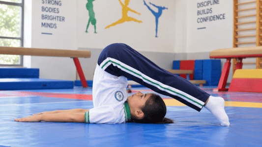 Gymnastic